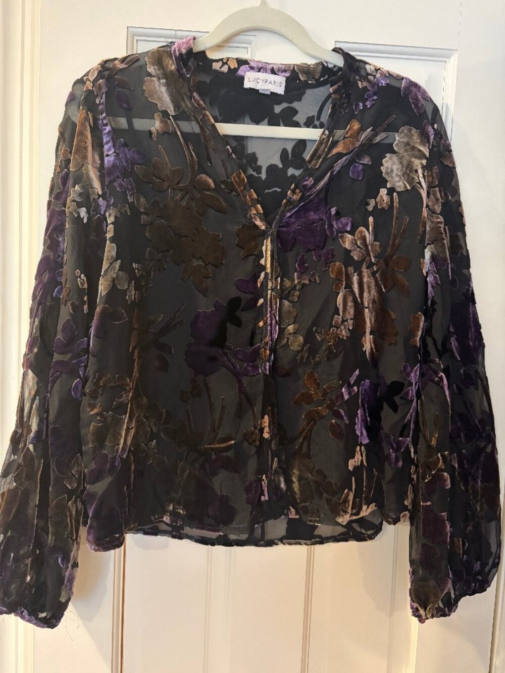 Lucy Paris Velvet Blouse